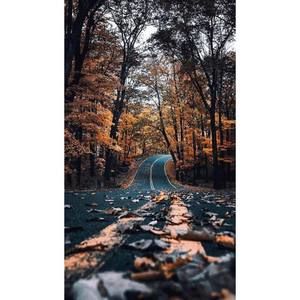 Meet your Posher, Luisa